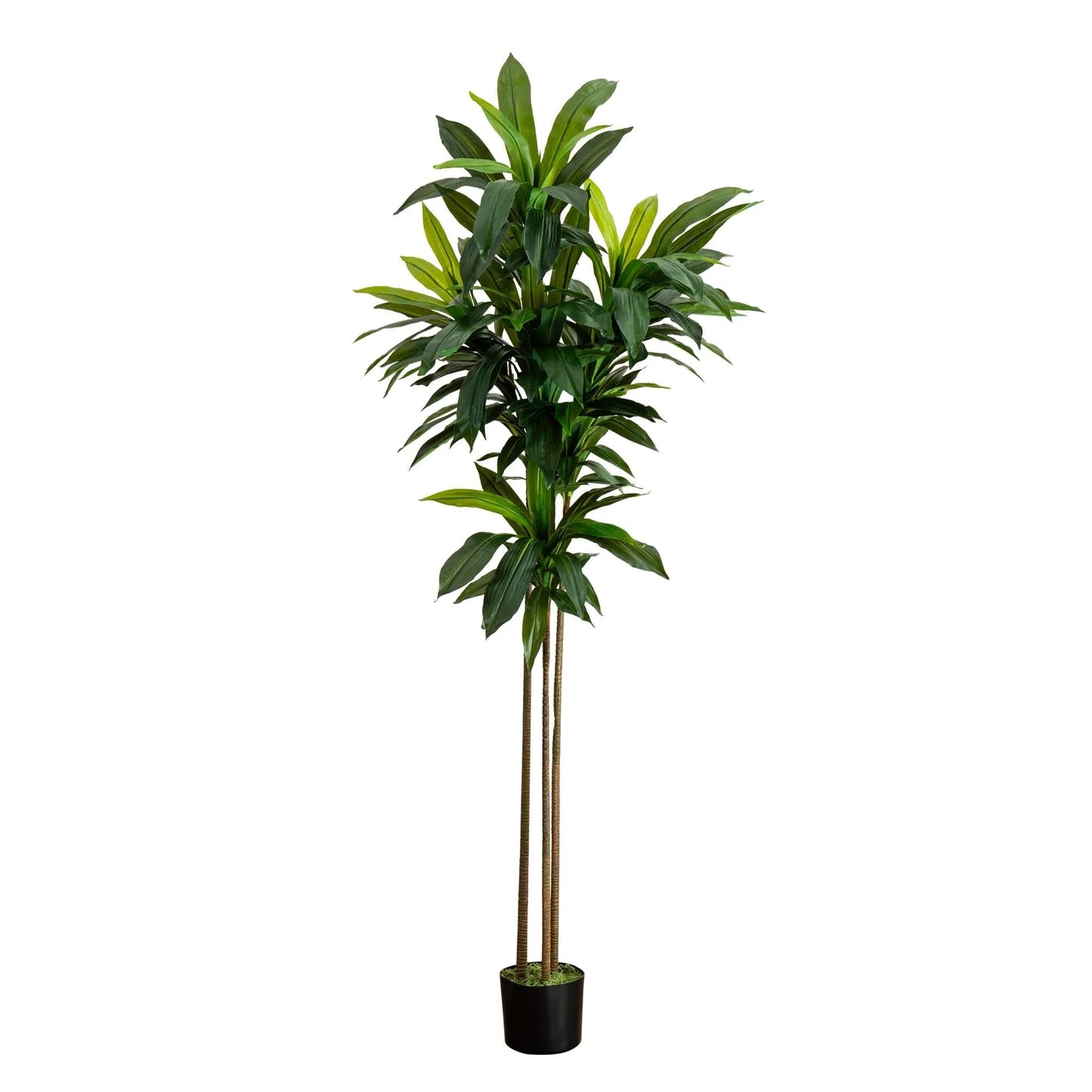 Potted Artificial Dracaena Tree - 7' - Green