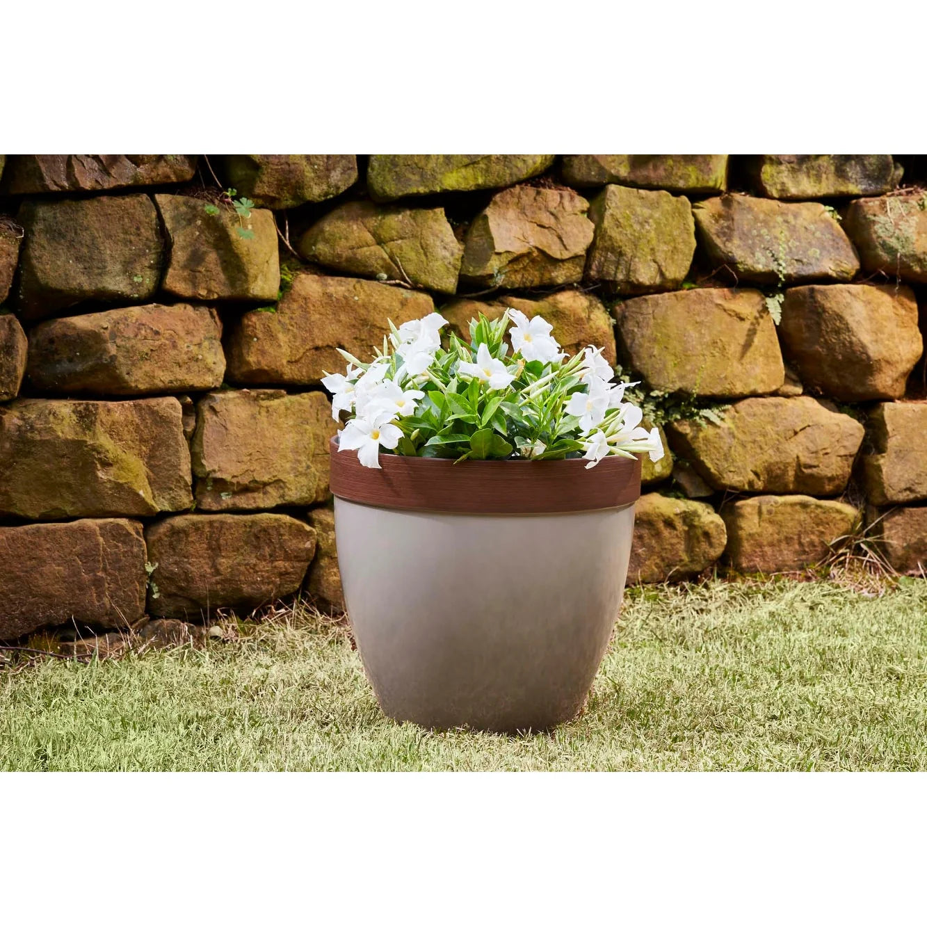 Southern Patio Hornsby Resin Planter