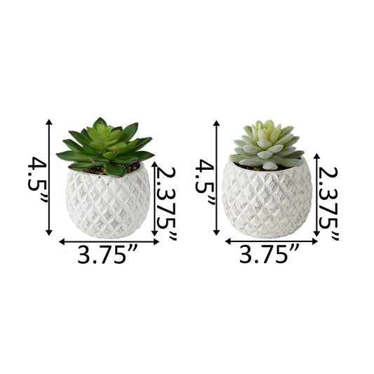 SET OF 2 Artificial Plant in Cement Pineapple Pot - ONE-SIZE