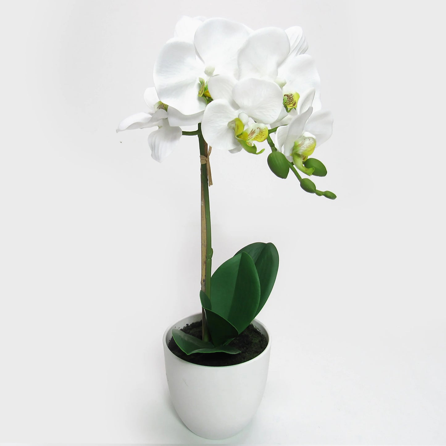 Artificial Phalaenopsis Orchid Flower Arrangement in White Pot 17in