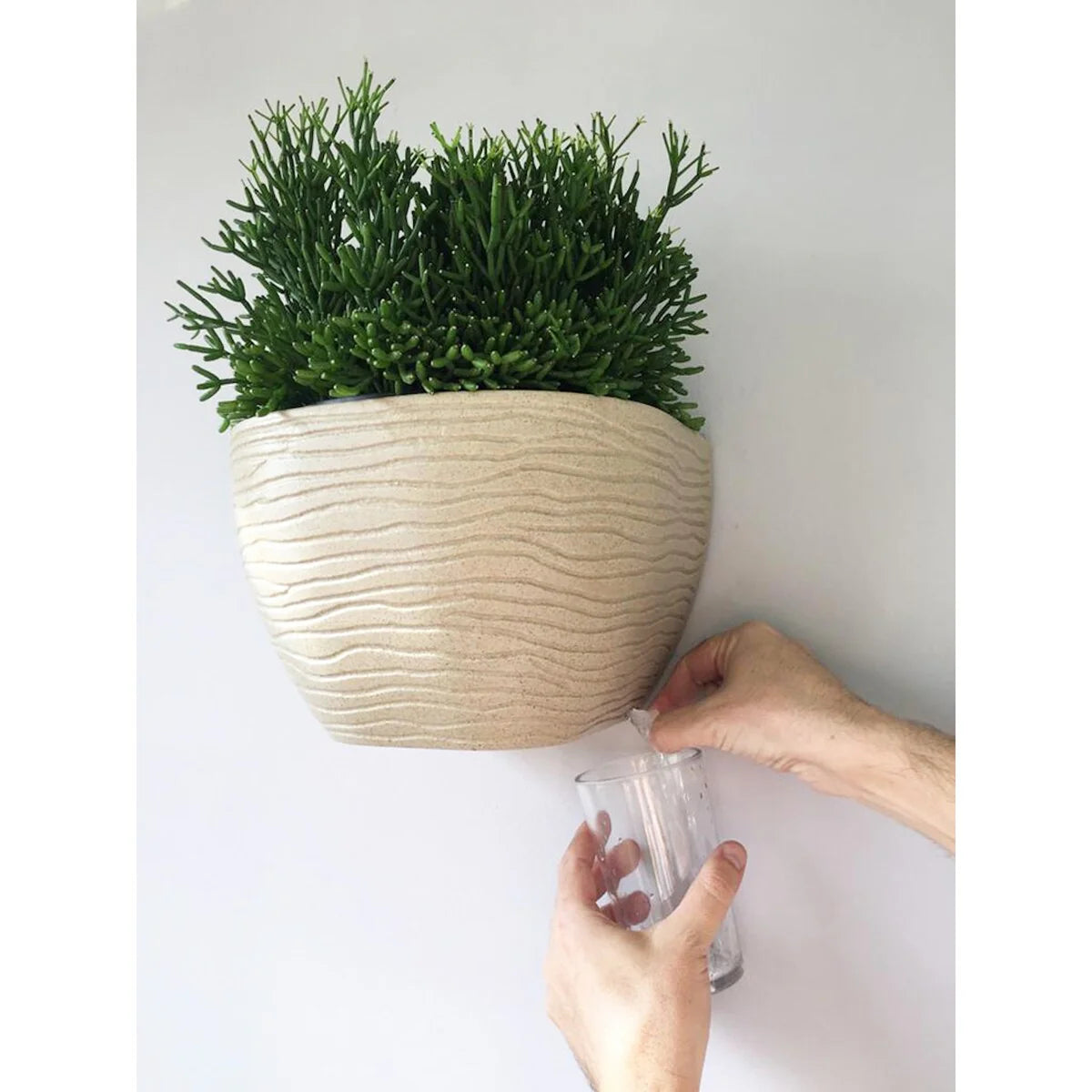 Floridis Wall Planter