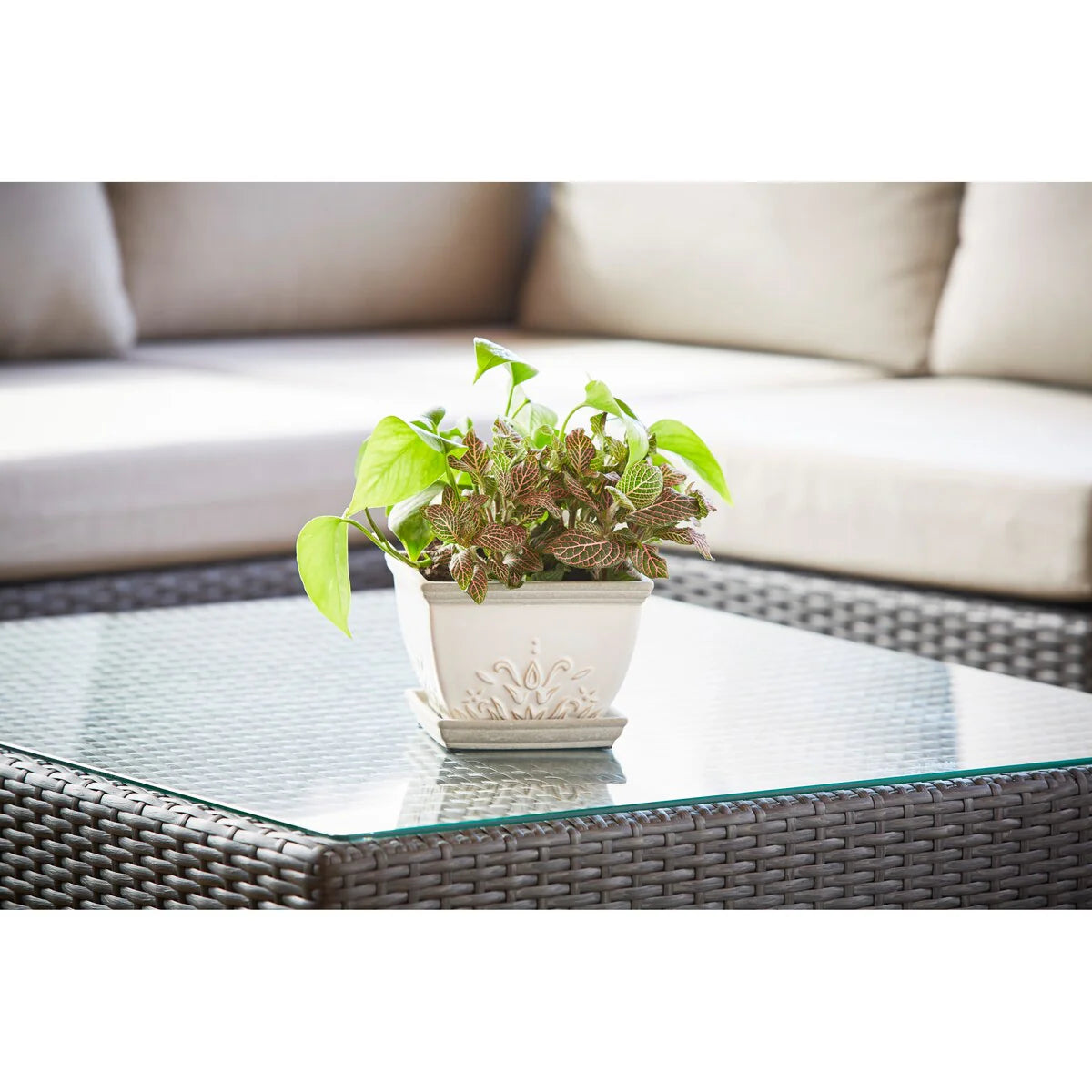 Southern Patio Brentwood Ceramic Indoor Pot Planter, 2-Pack - 8.5" W (2-Pack)