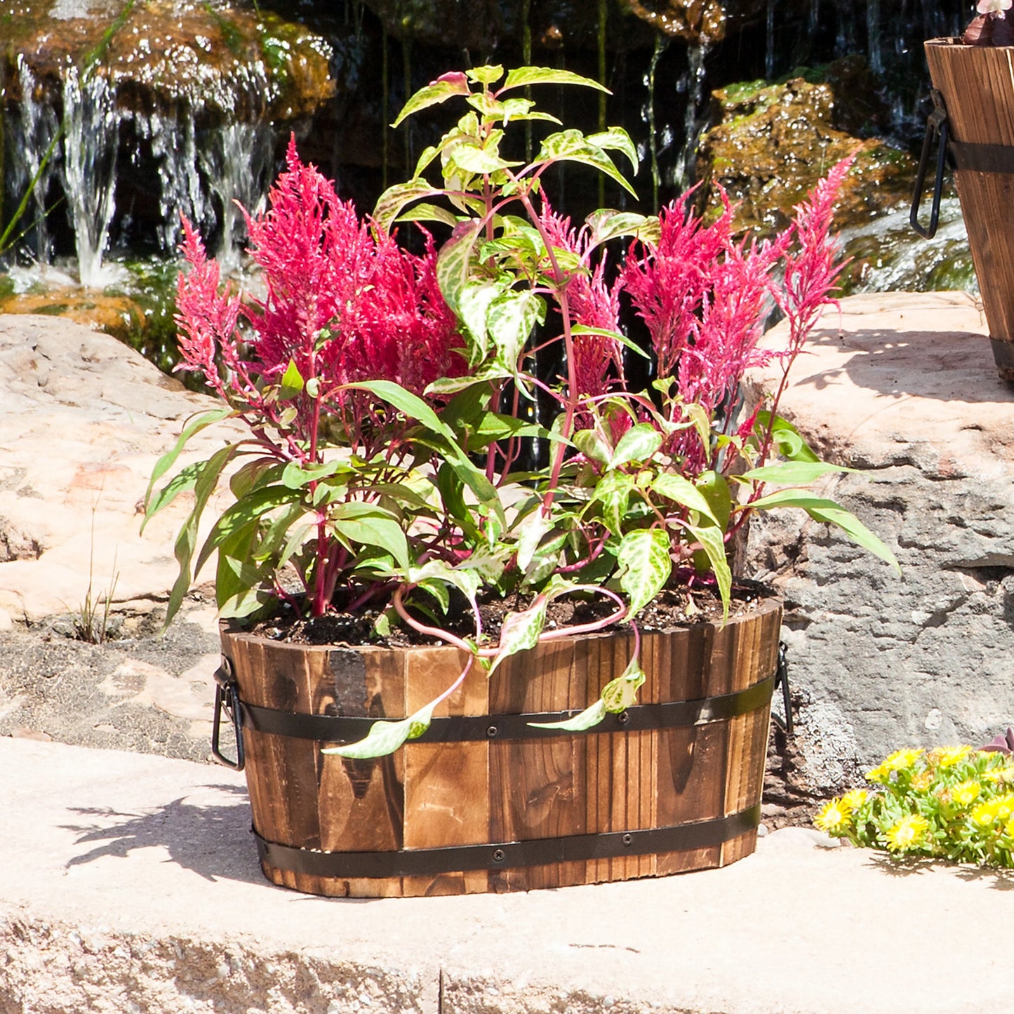 Small Oval Wooden Planter