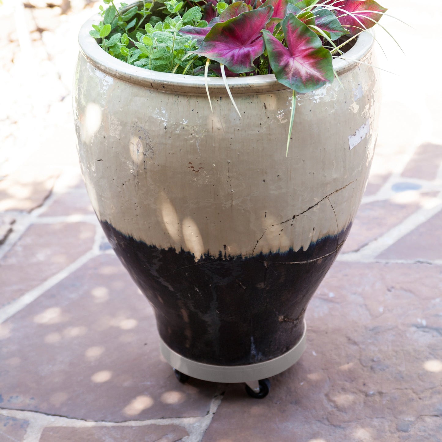 Gray Mist Plastic 12-inch Plant Dolly without Hole