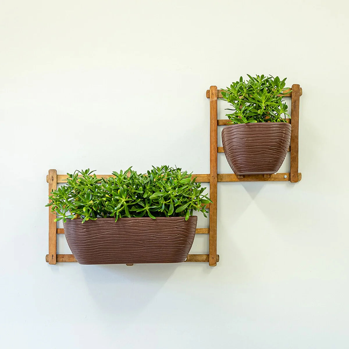 Floridis Wall Planter