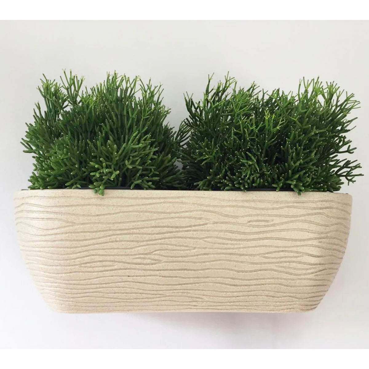 Floridis Wall Planter