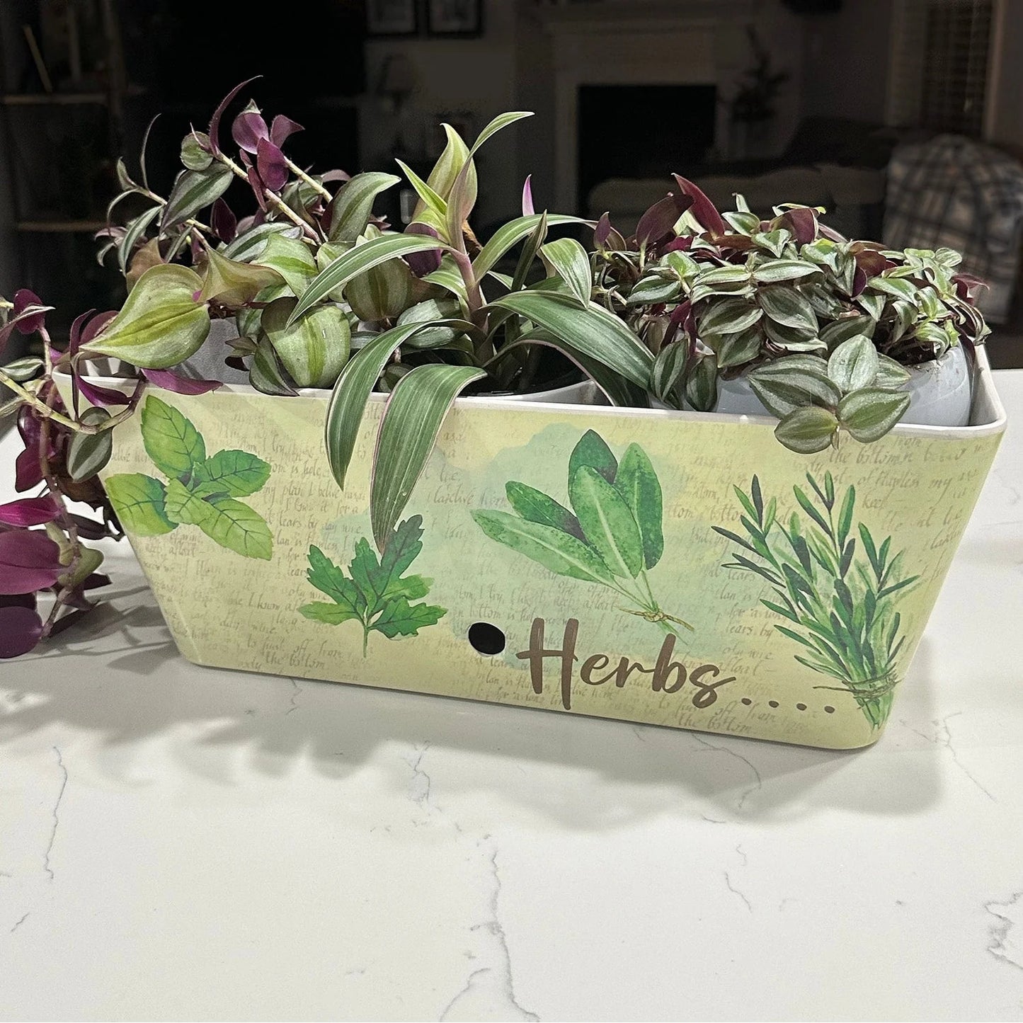 16" Rectangular Indoor/Outdoor Self-Watering Bamboo Planters