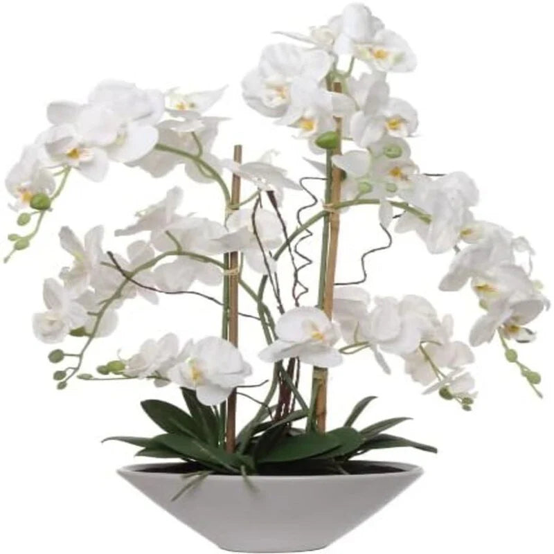 24.8" White Phalaenopsis Orchid in Pot – Realistic Silk Plant Decor - 24.8