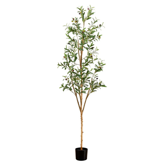 6' Artificial Olive Tree with Natural Trunk - Green