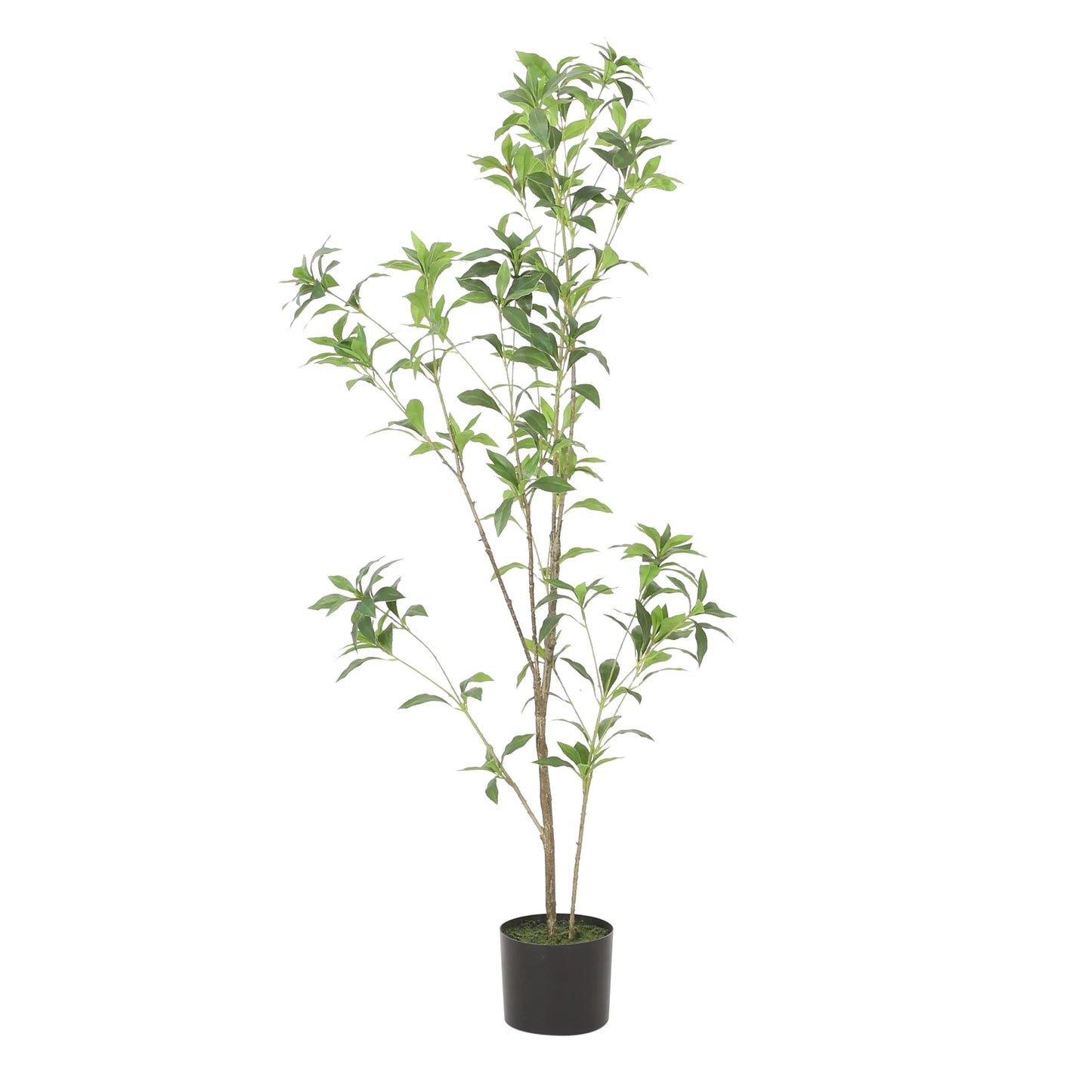 Bergweg Artificial Pieris Tree by Christopher Knight Home