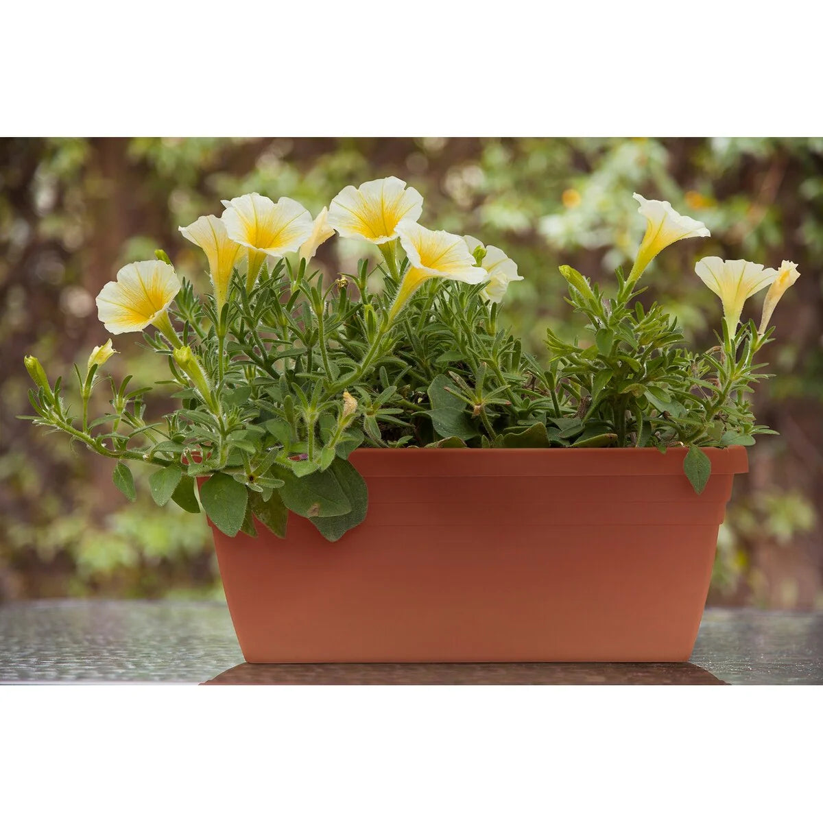 Southern Patio Sonoma Railing Planter