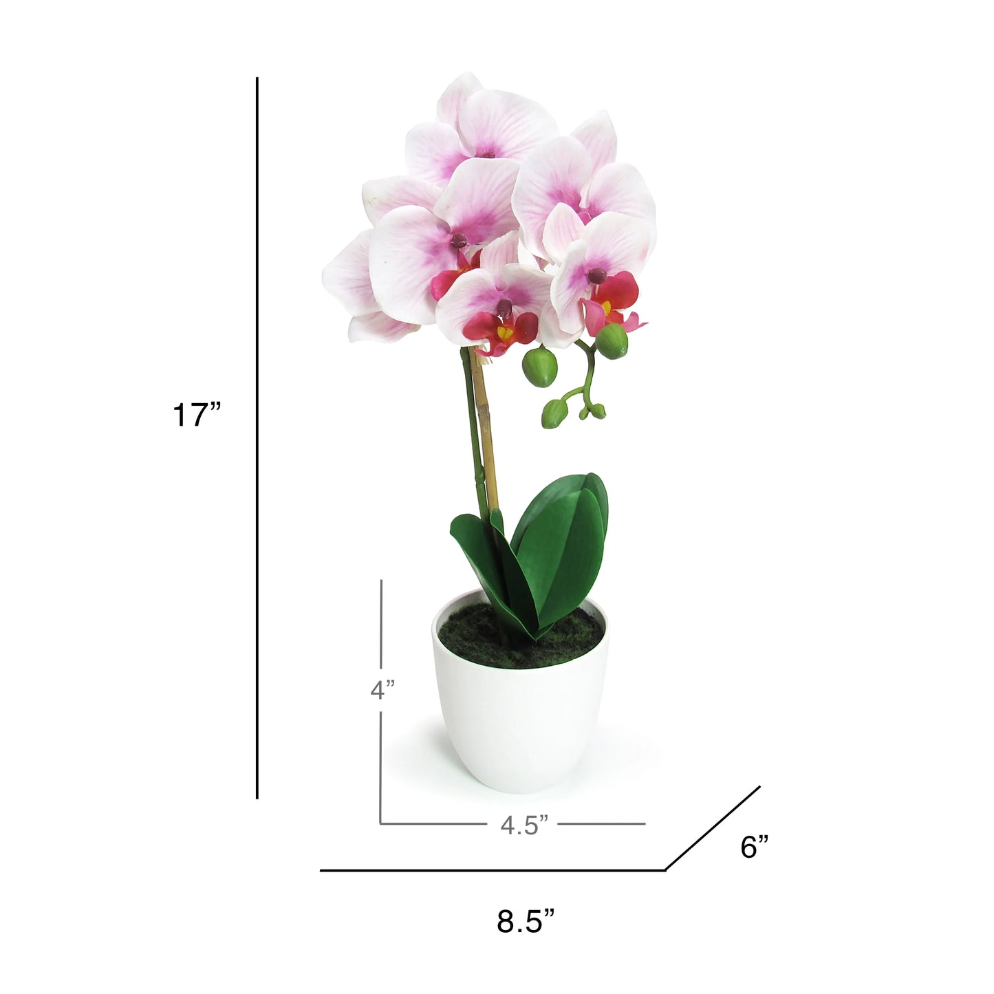 Artificial Phalaenopsis Orchid Flower Arrangement in White Pot 17in