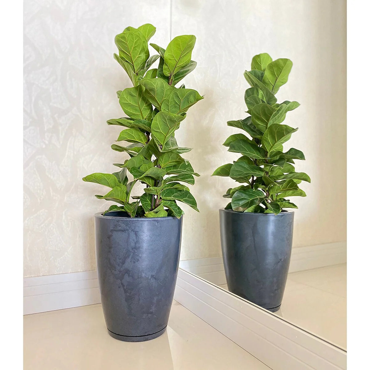 Floridis Amsterdan Small Planter Bowl