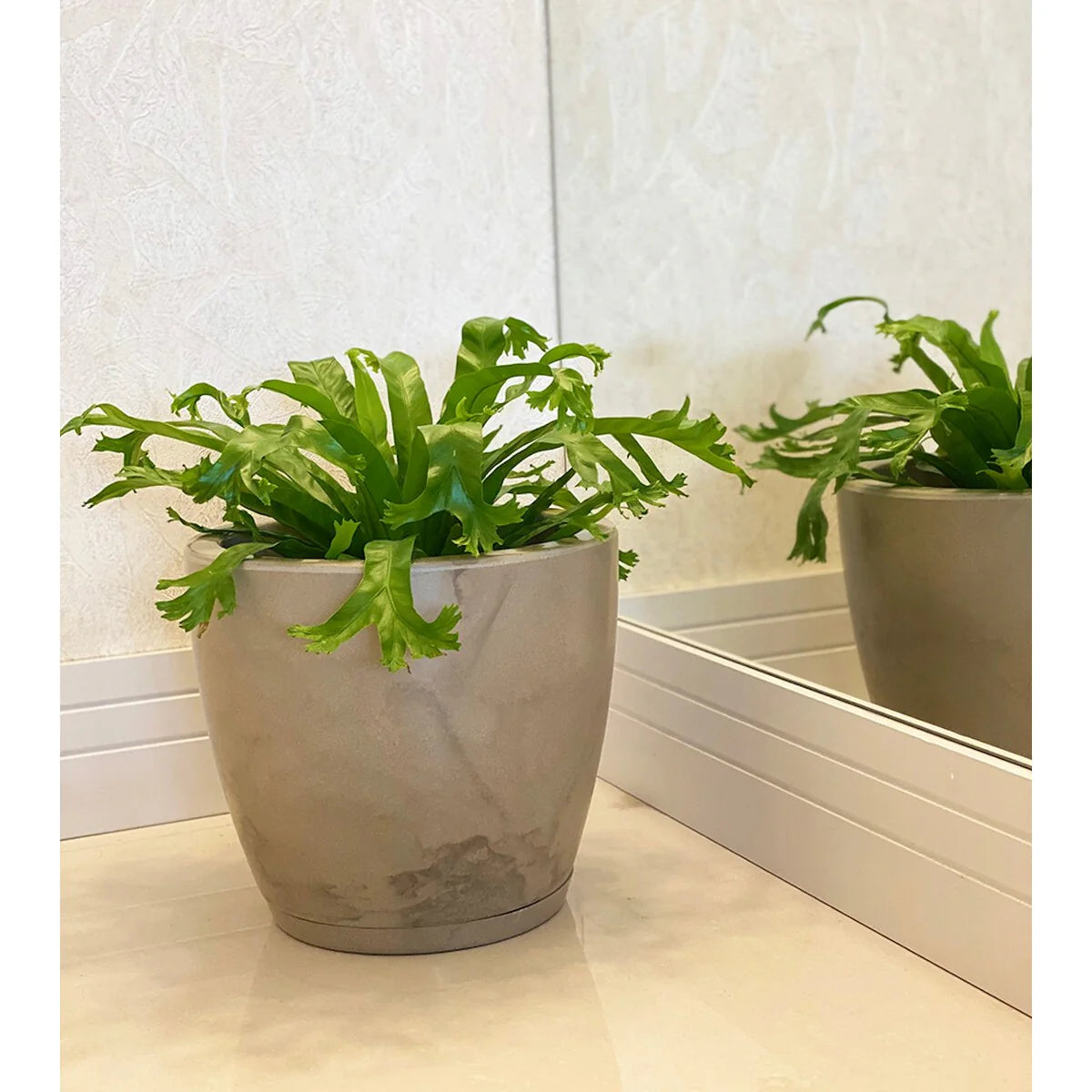 Floridis Amsterdan Extra Small Planter Bowl - 11.02 inches high x 12.6 inch diameter