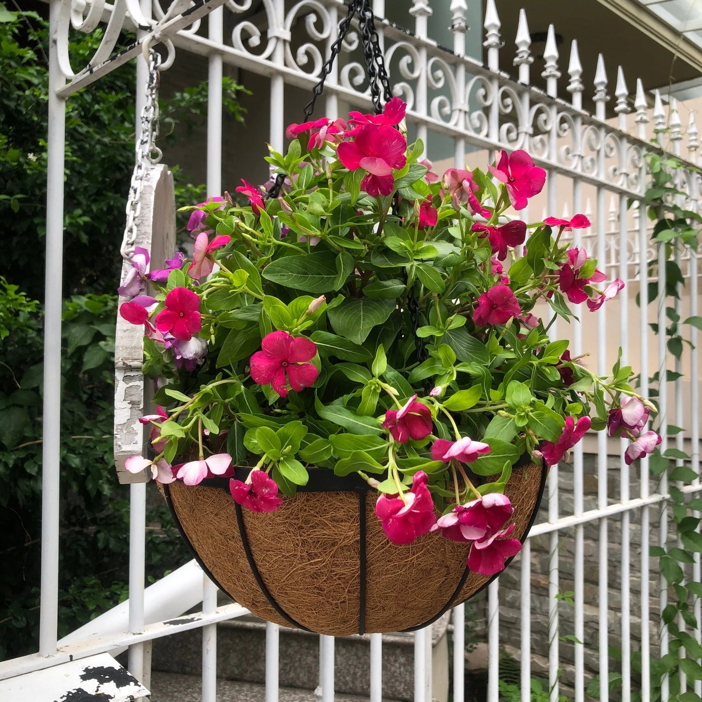 12"-14"-16" DreamPatio Hanging Basket Planter with Coconut Coir