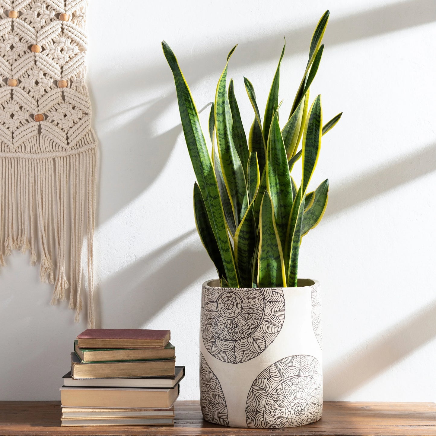 Artistic Weavers Gene Terracotta Mandala Indoor Planter