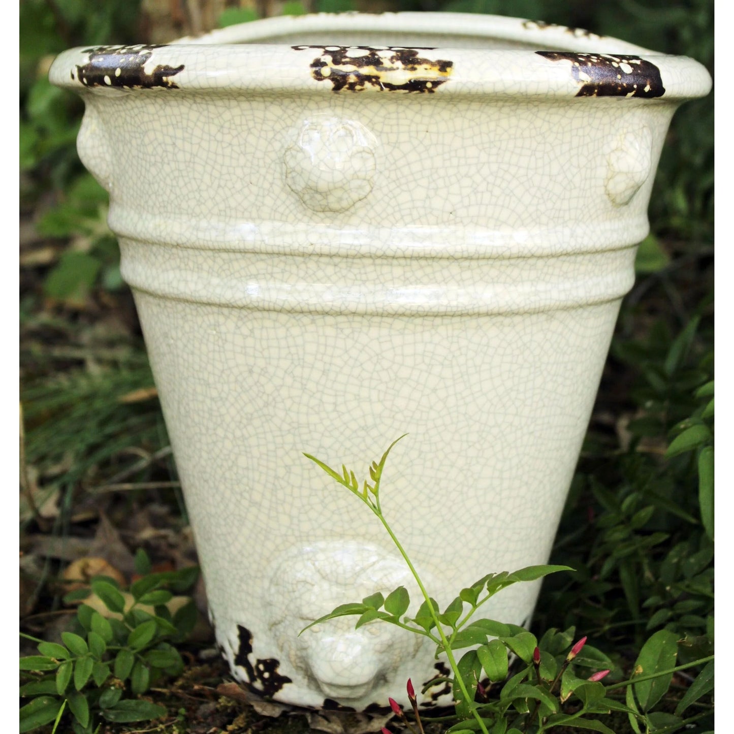 Wall Hanging Planter, 4 Colors available