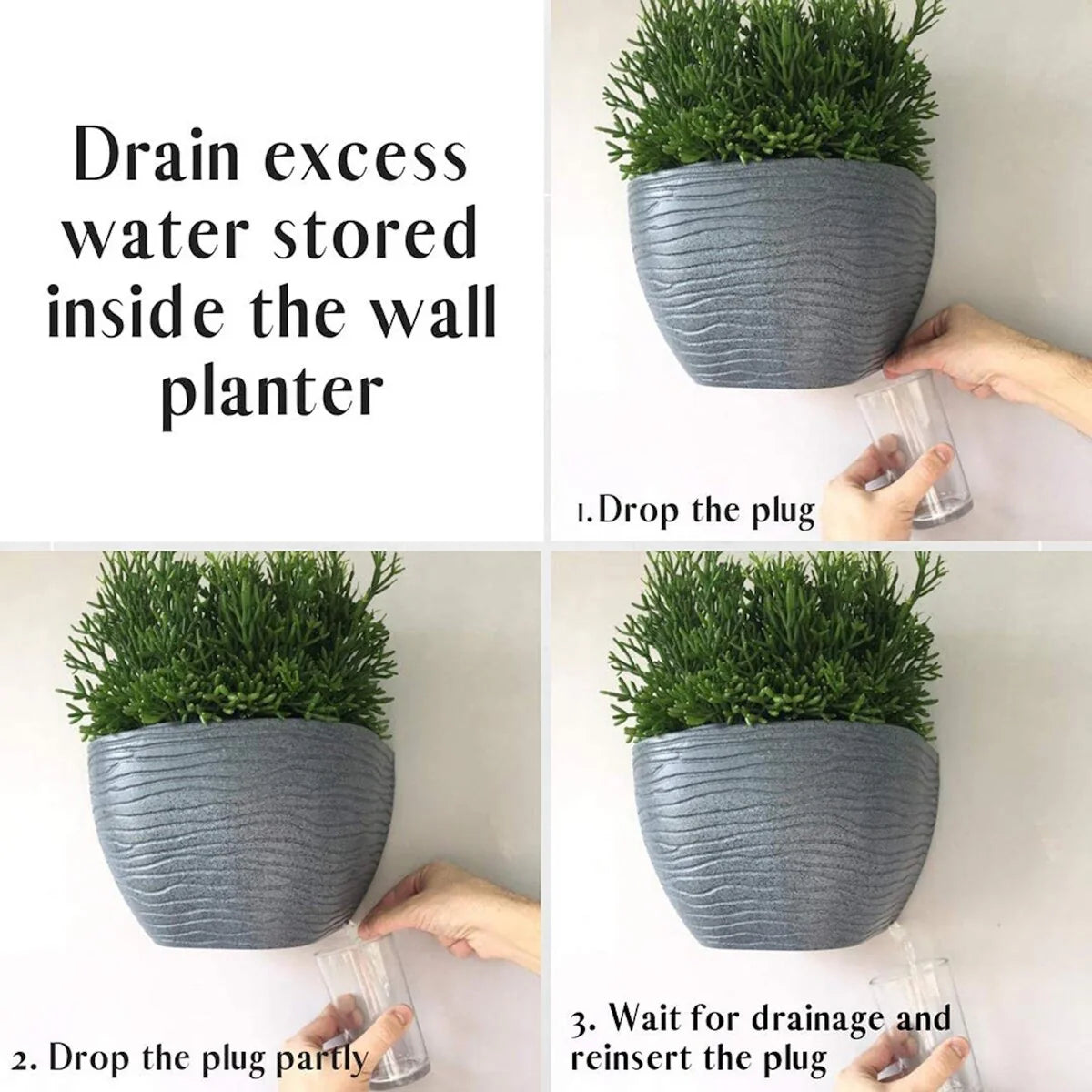 Floridis Wall Planter