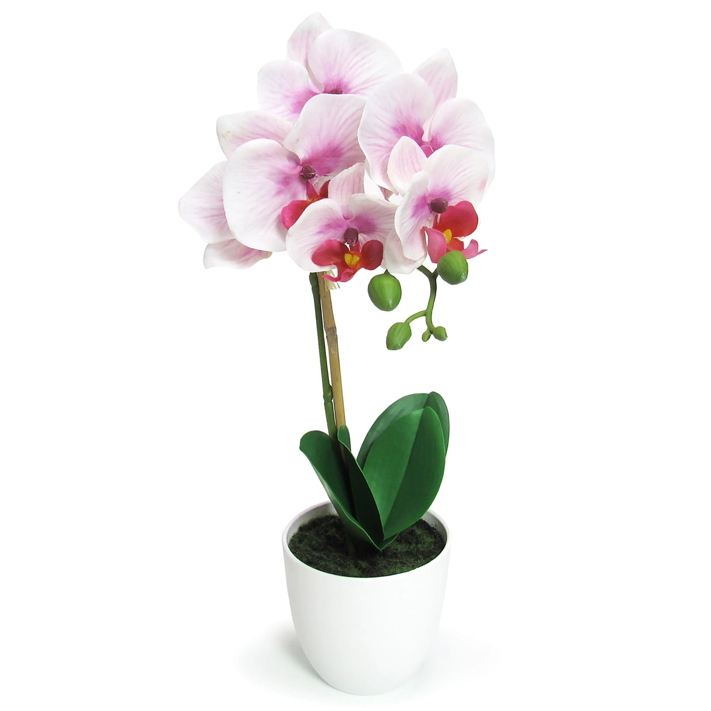 Artificial Phalaenopsis Orchid Flower Arrangement in White Pot 17in
