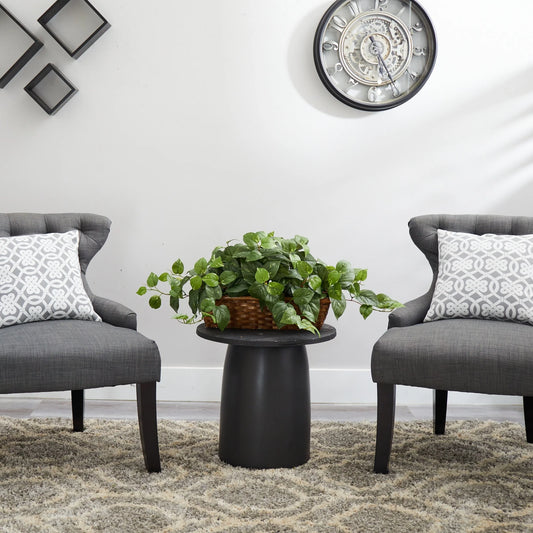 Pothos w/Ledge Basket - Green