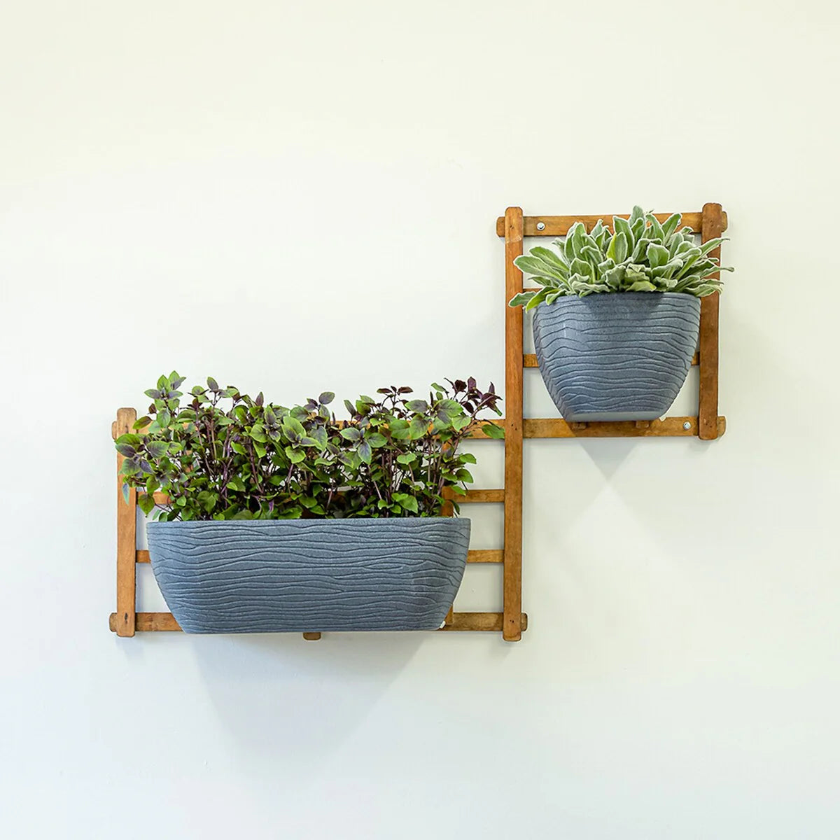 Floridis Wall Planter