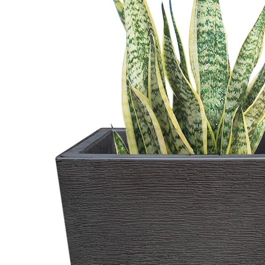 Kante Black Plastic Indoor Outdoor Self-Watering Planters (Set of 2) w/ Drainage Hole, Garden Patio Front Door