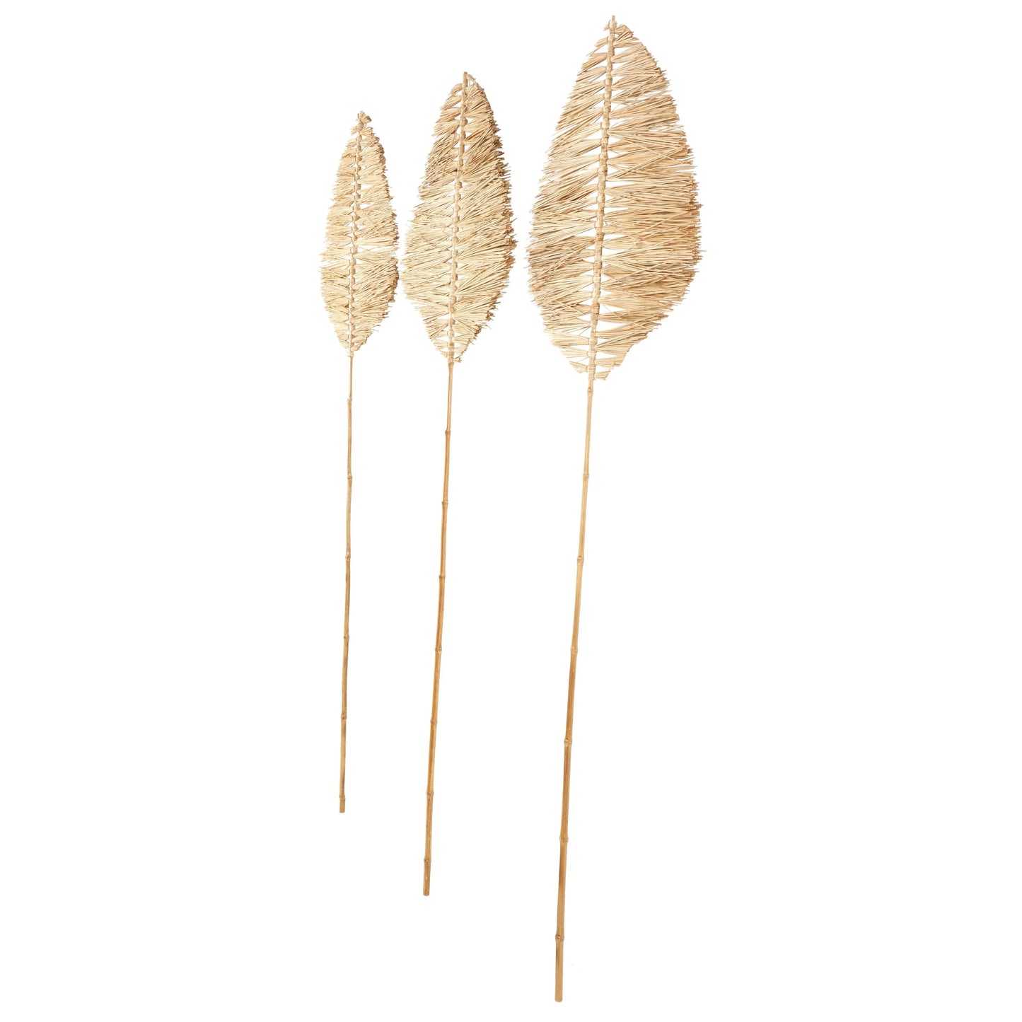 Bamboo Wood Leaf Handmade Tall Tassel Palm Leaf Fan Stick Home Decor Natural Foliage - Set of 3 Light Brown - Roche River Decor