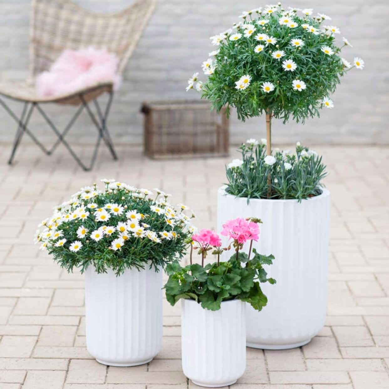 DreamPatio North Pole Fiberstone Planter