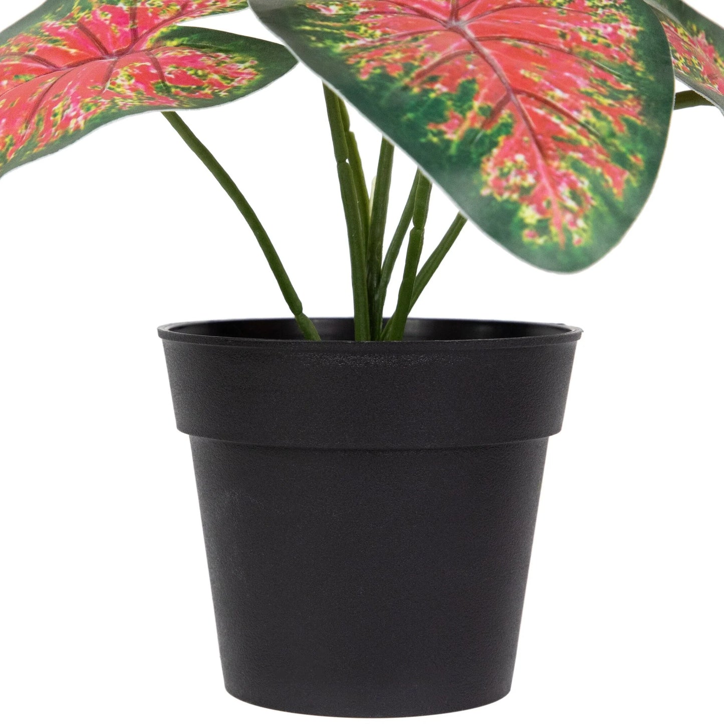 8" Rohdea Spring Floral Artificial Potted Plant