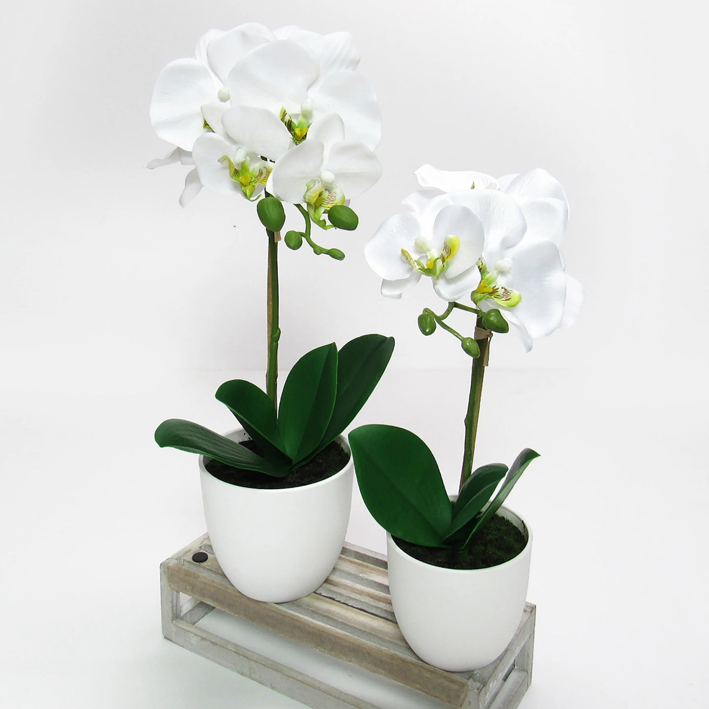 Artificial Phalaenopsis Orchid Flower Arrangement in White Pot 17in