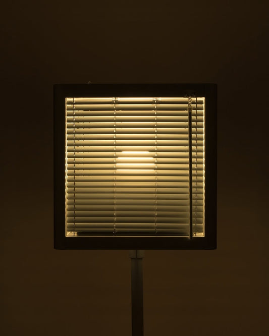 Chamber of Dawn – A Tribute to Sunlight